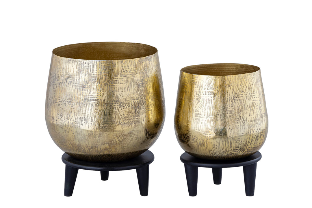 (Set of 1 Piece) Planter, Luxury & Designer Planters